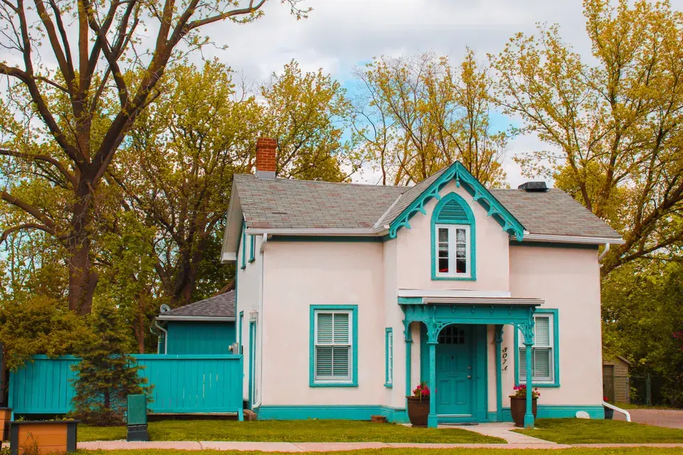 mold removal Villas